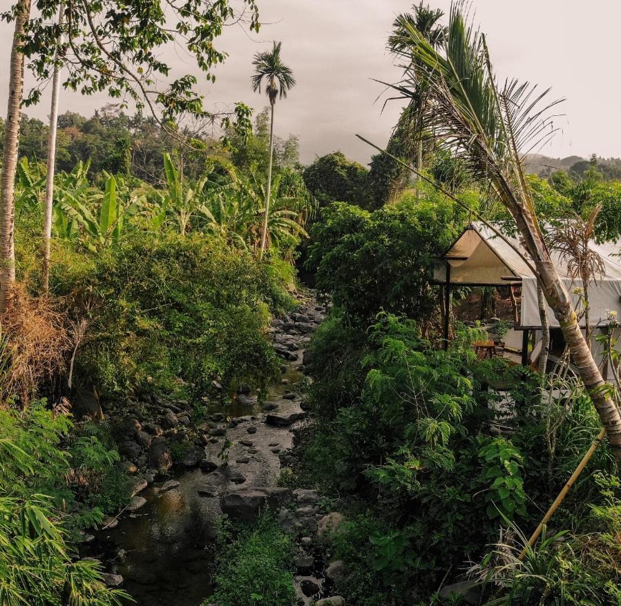 Camani Glamping Hotel Karangasem Екстериор снимка
