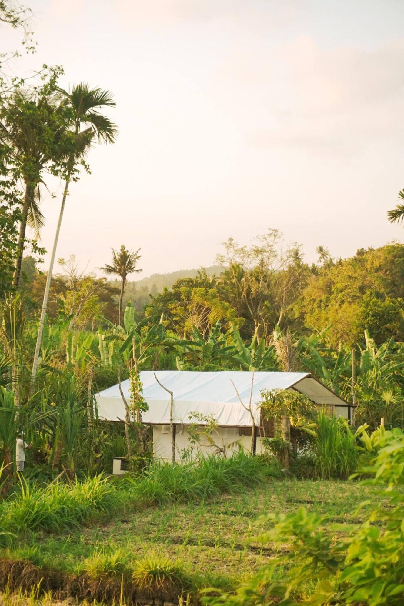 Camani Glamping Hotel Karangasem Екстериор снимка