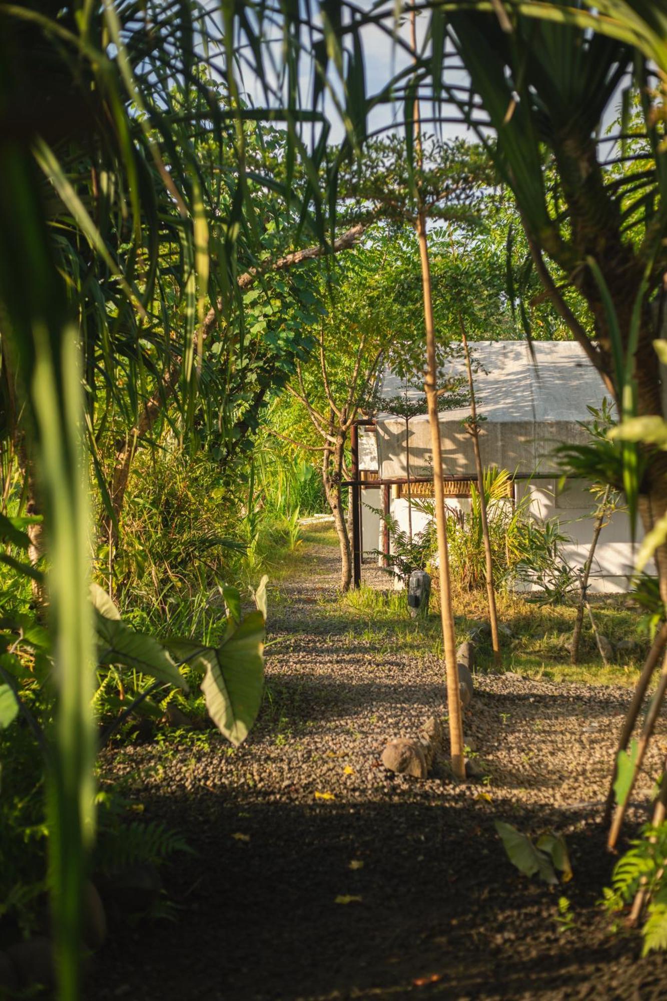 Camani Glamping Hotel Karangasem Екстериор снимка