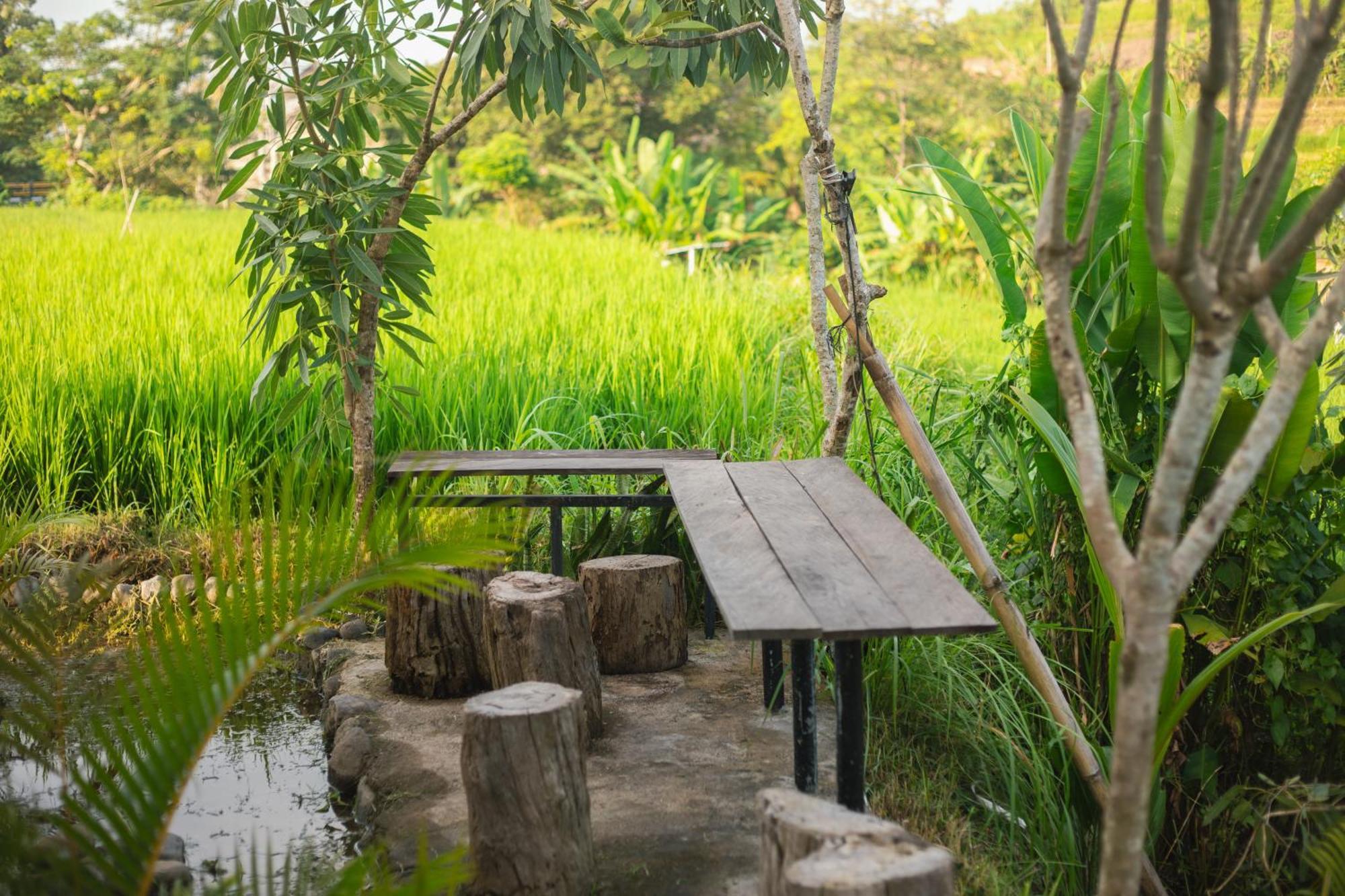 Camani Glamping Hotel Karangasem Екстериор снимка