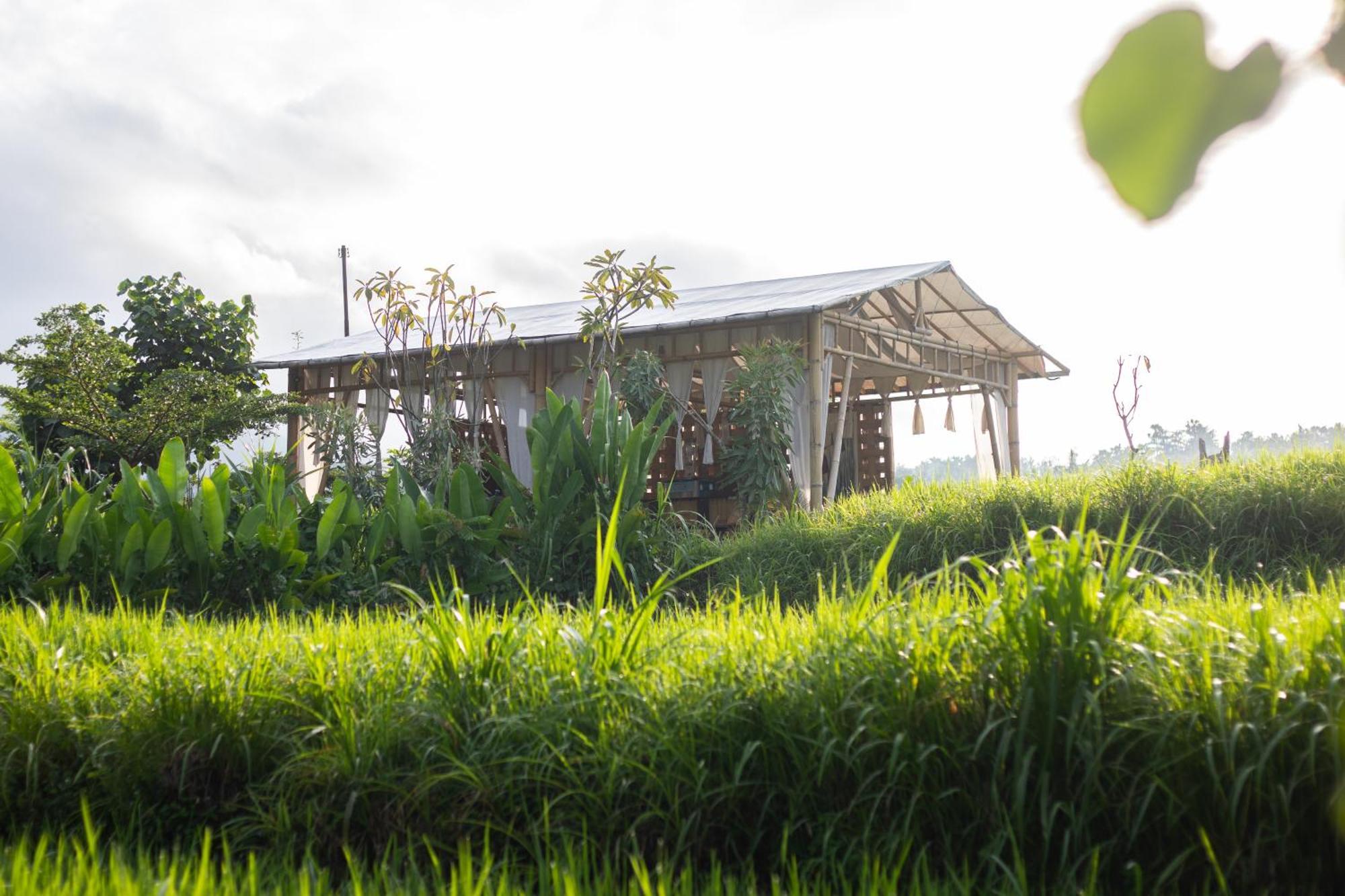 Camani Glamping Hotel Karangasem Екстериор снимка