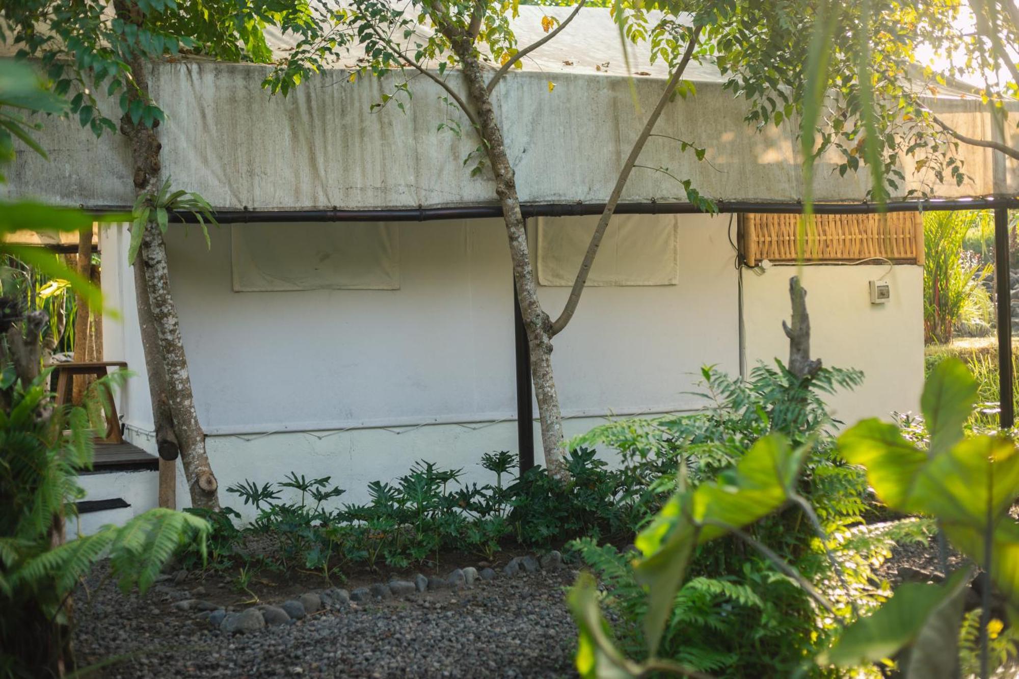 Camani Glamping Hotel Karangasem Стая снимка